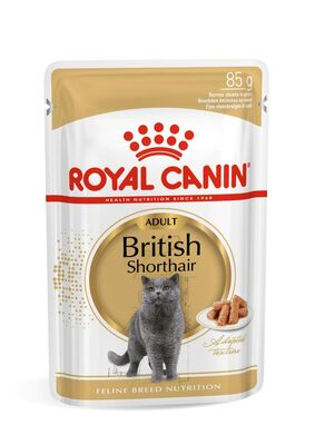 Royal Canin British Shorthair Kedi Yaş Maması 85gr