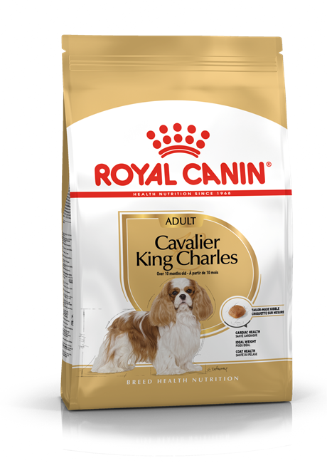 Royal Canin Cavalier King Charles Adult Yetişkin Köpek Maması 1.5kg | Meloş  Pet Art&Shop