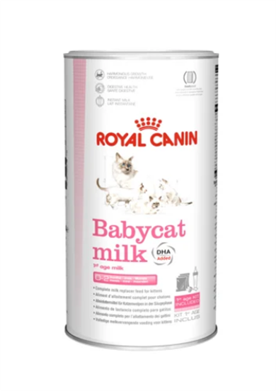 Royal Canin Babycat Kedi Anne Sütü 300gr