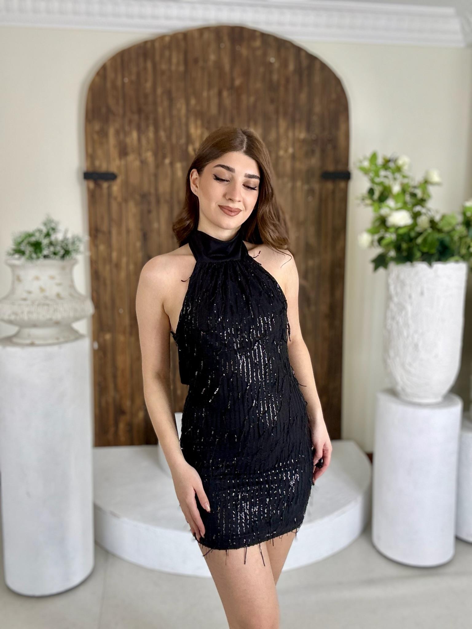 Pul Payet Dik Yaka Tasarım Elbise Siyah