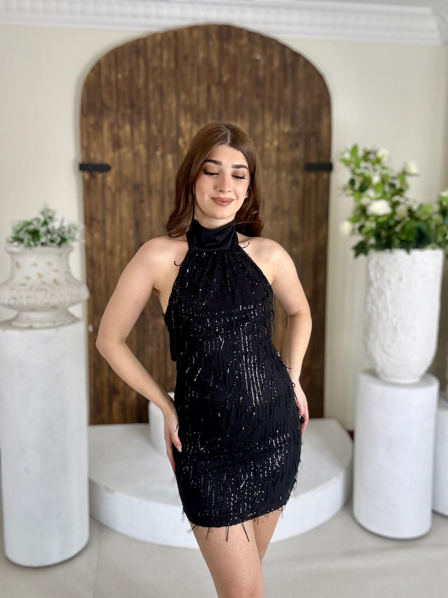 Pul Payet Dik Yaka Tasarım Elbise Siyah