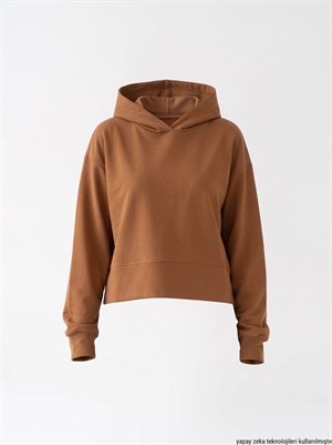 İki İplik Penye Kumaş Kapşonlu Sweatshirt