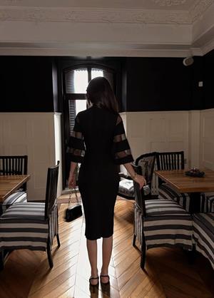 Kollar Organze Tül Detay Tasarım Kalem Elbisemiz Siyah