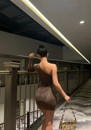 Simli Buzzy Kumaş Leopar Desen Gloplu Tek Kol Elbise