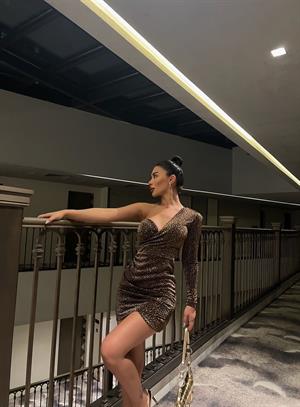 Simli Buzzy Kumaş Leopar Desen Gloplu Tek Kol Elbise