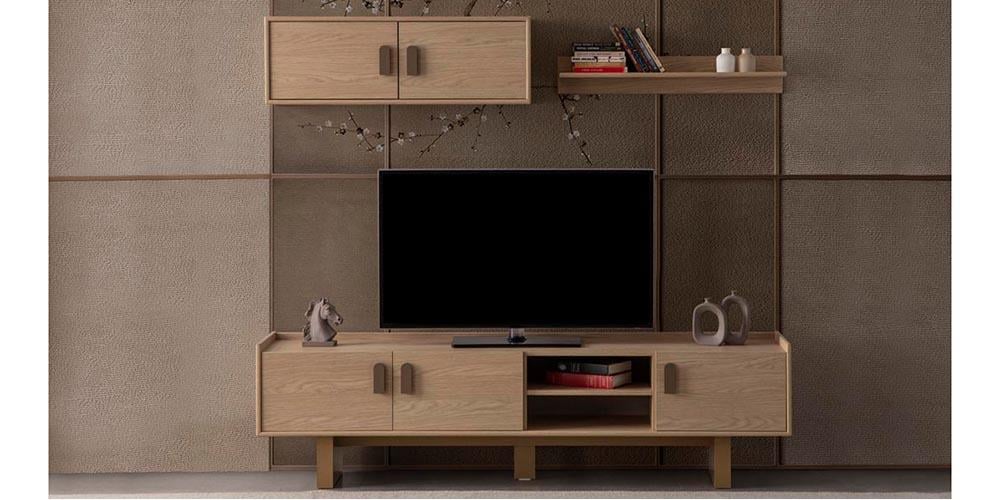 Asya TV Ünitesi