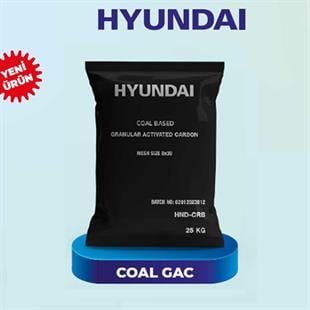 HYUNDAI Granür Aktif Karbon