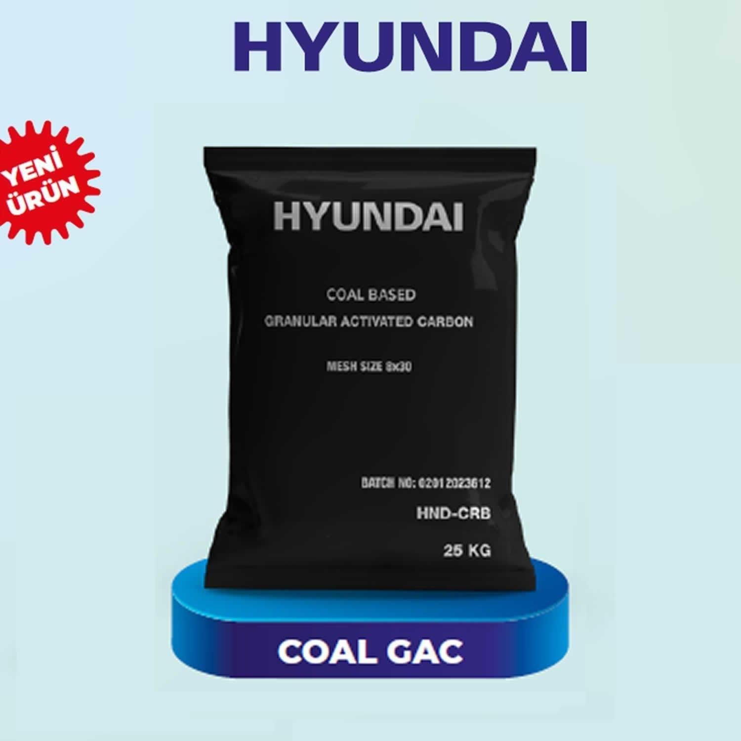 HYUNDAI Granür Aktif Karbon