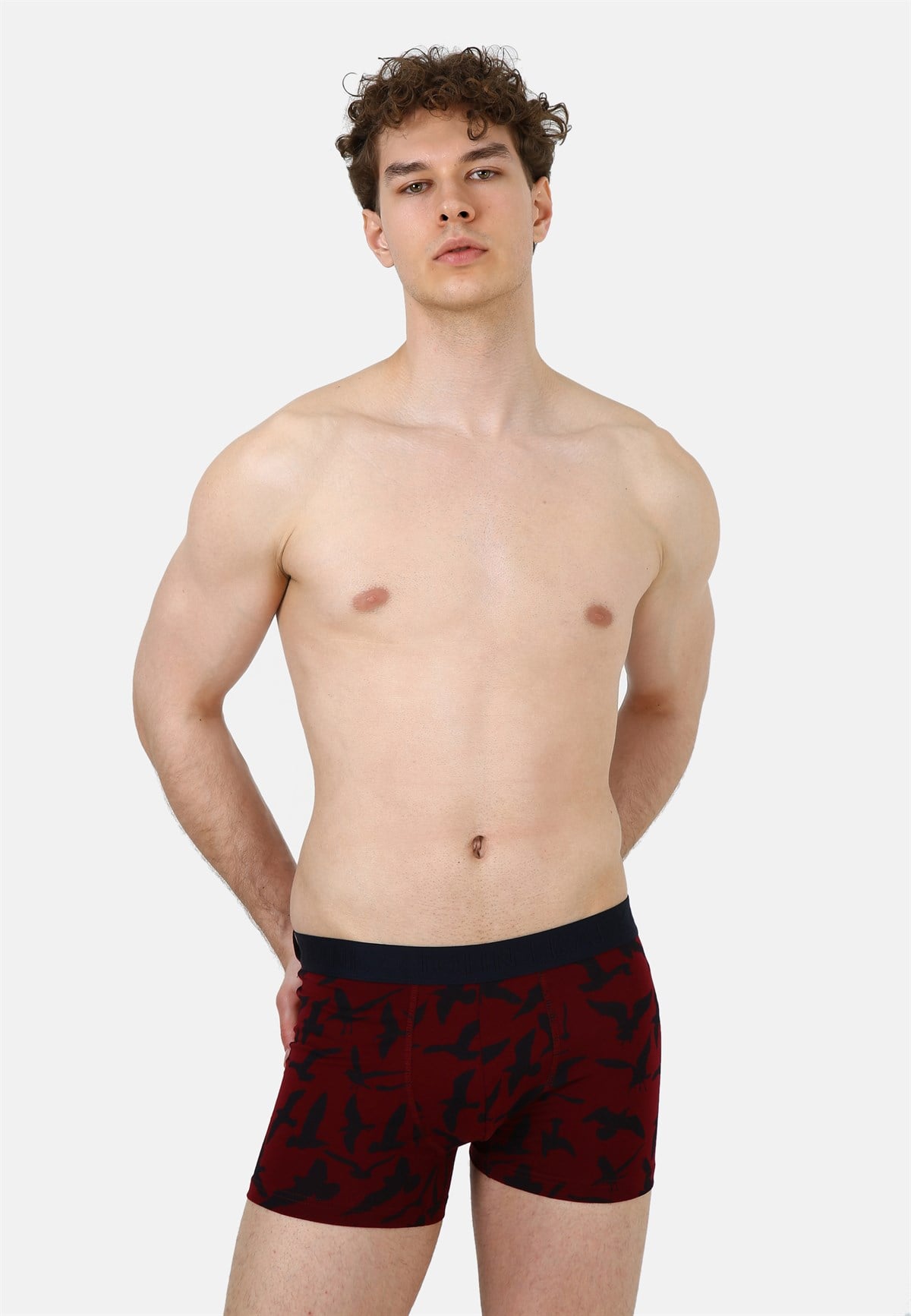 JOHN FRANK BASKILI BOXER BORDO