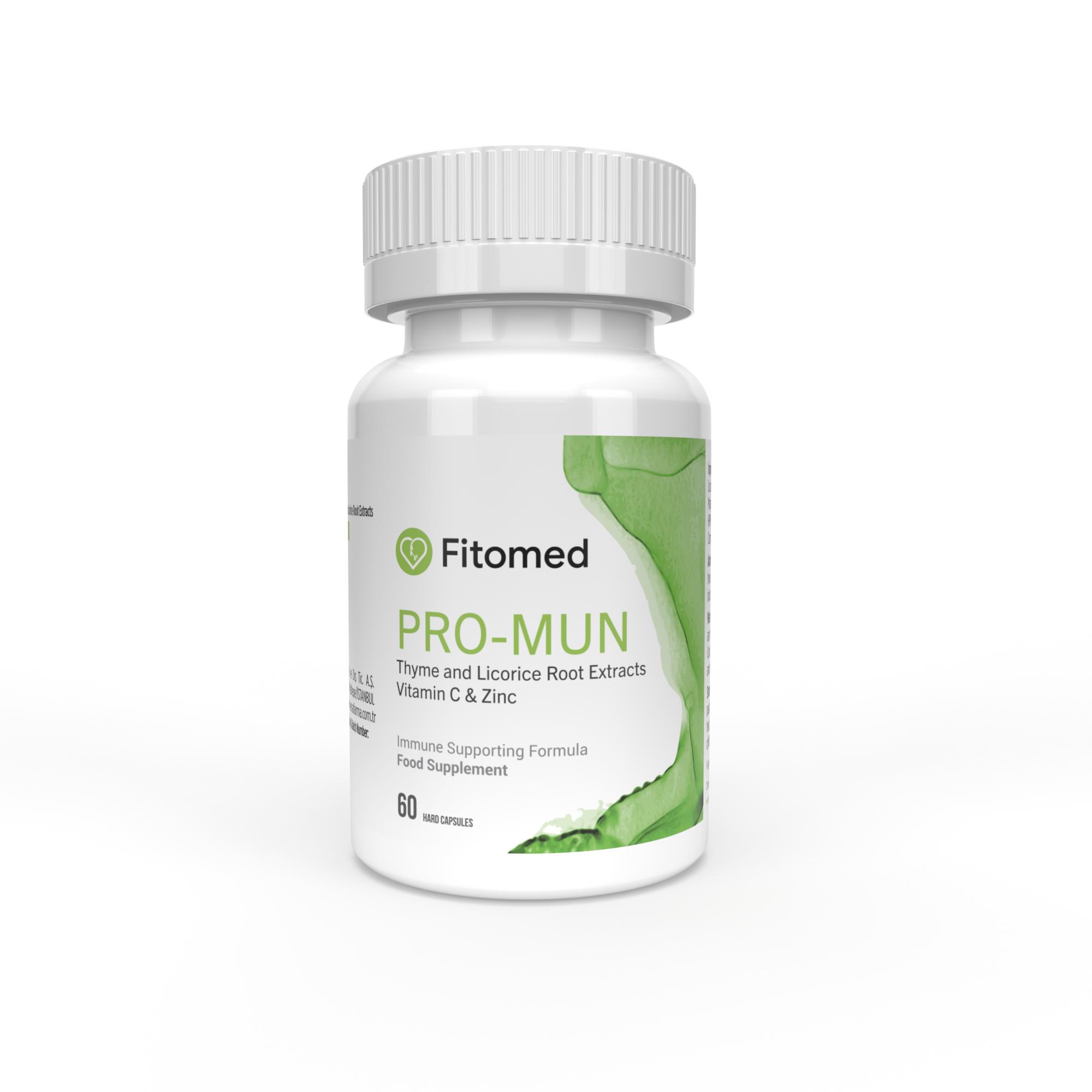 Pro_mun PROMUN60