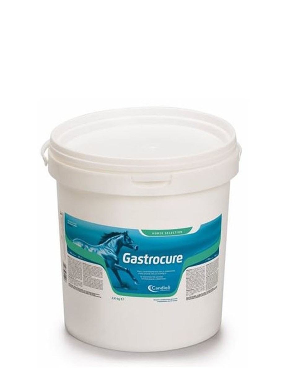 GASTROCURE 2,6 KG