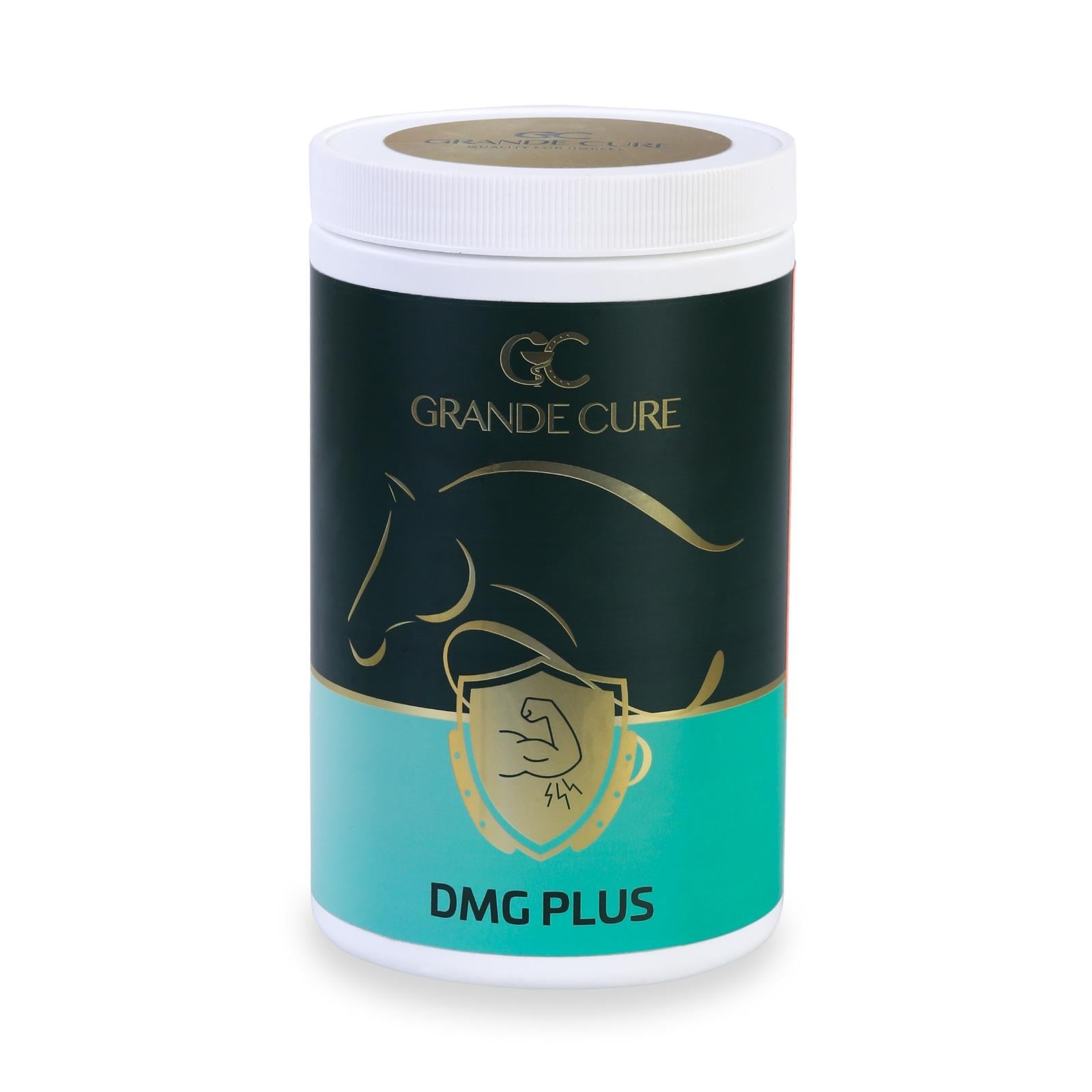 GRANDE CURE DMG PLUS 1 KG