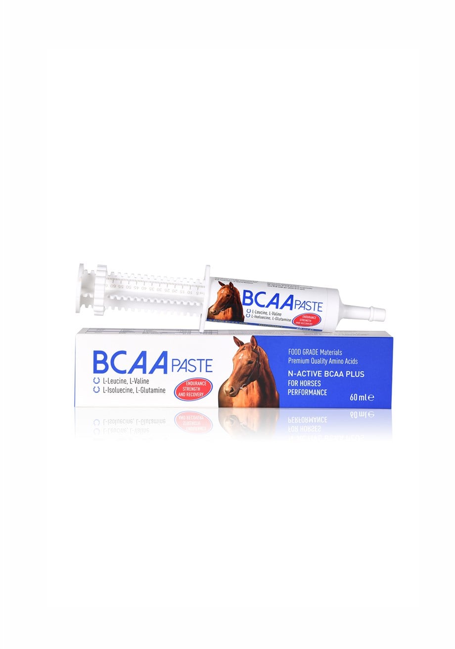 N-ACTIVE BCAA PLUS PASTE 60 ML