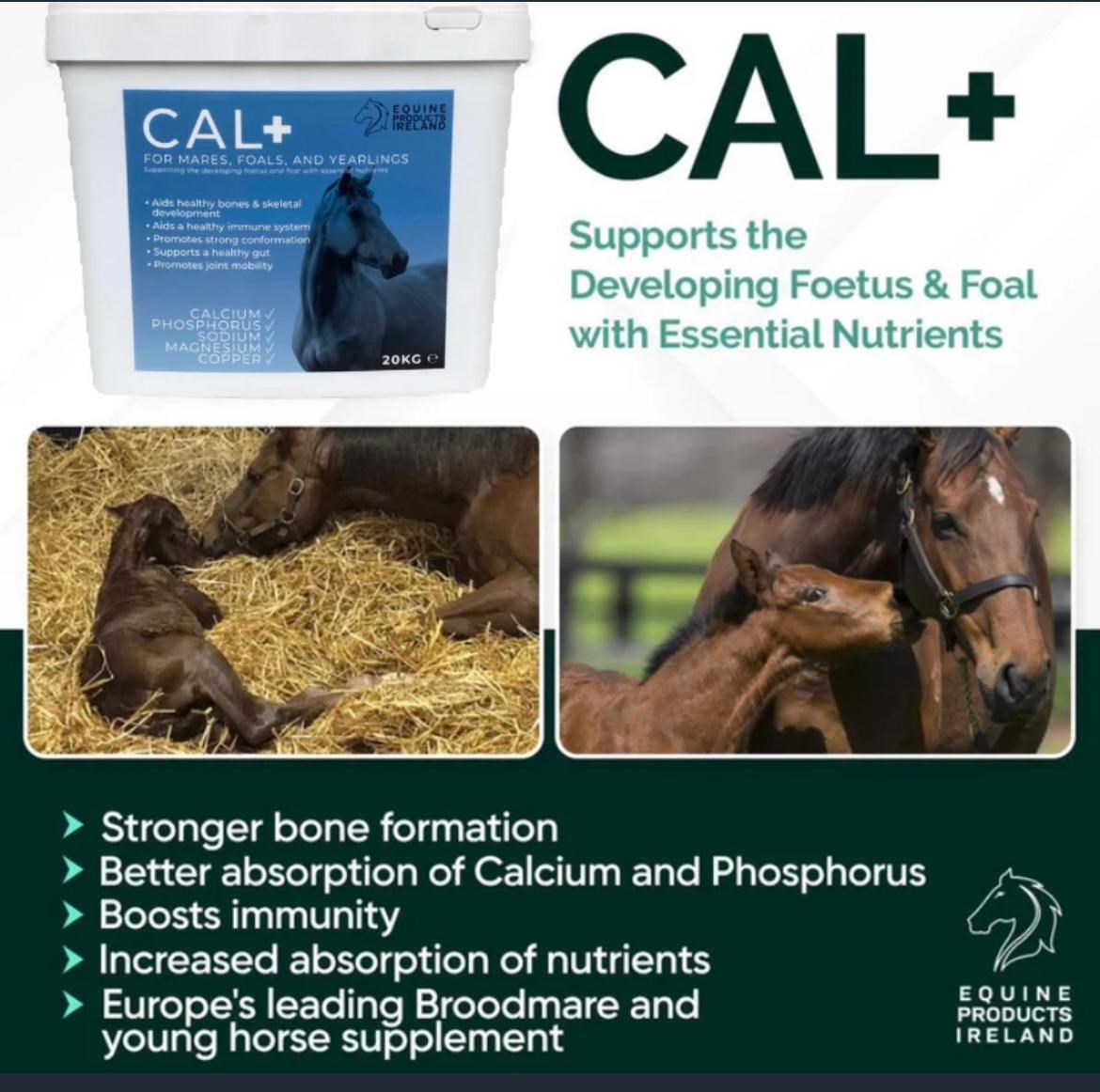 CAL+  10 KG 