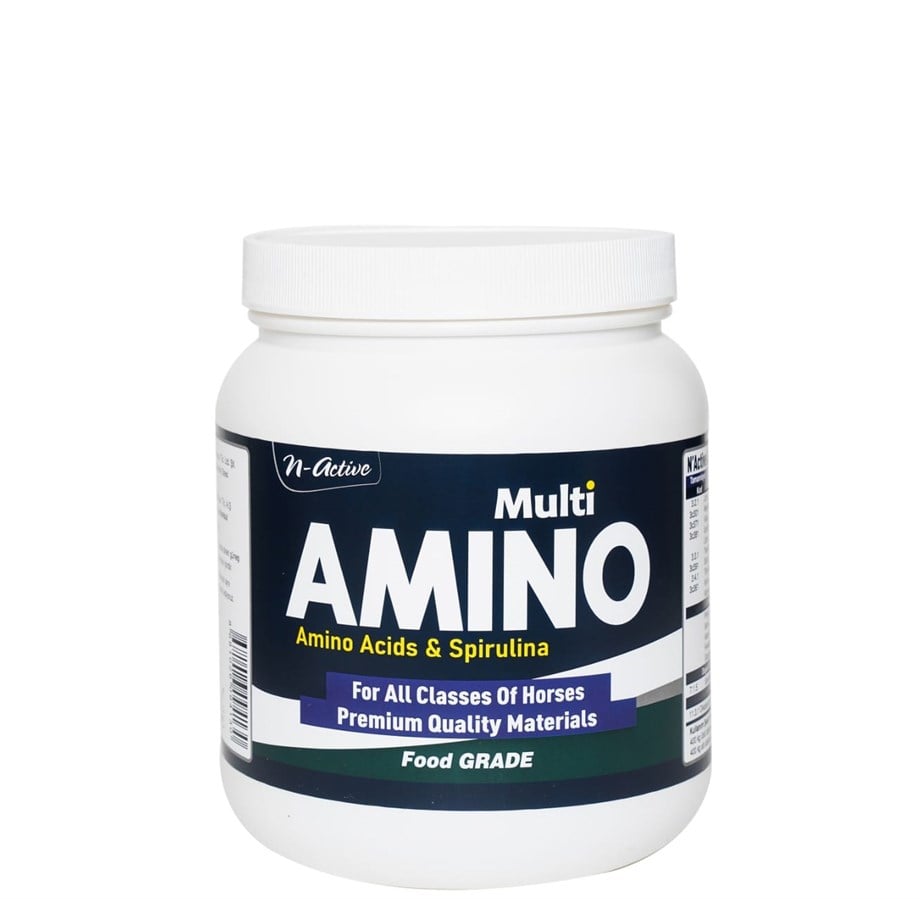 N-ACTIVE MULTI AMINO 1 KG