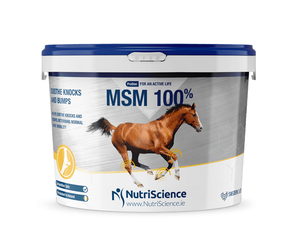 NUTRATEK MSM 100% 1,5 KG
