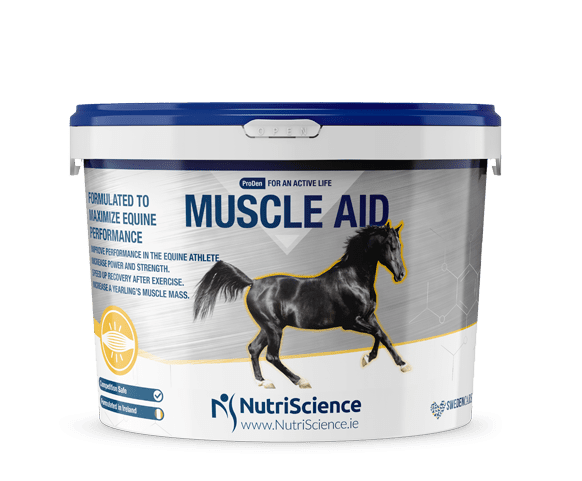 NUTRATEK MUSCULE AID 1,5 KG