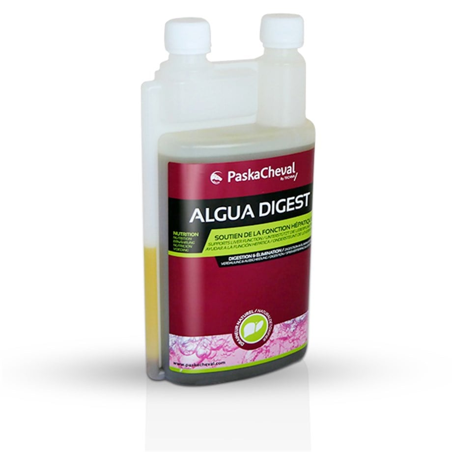 PASKACHEVAL ALGUA DIGEST 1 LT