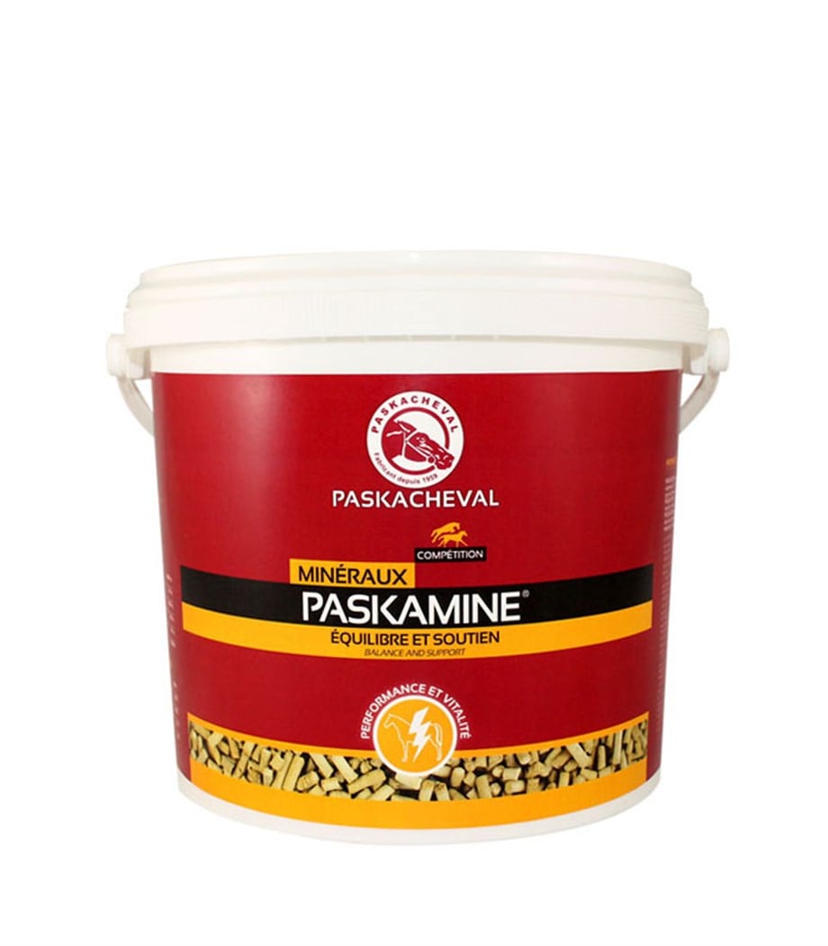 PASKACHEVAL PASKAMINE 3 KG