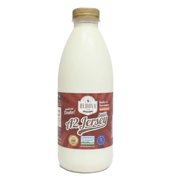JERSEY İNEK SÜTÜ 1 LT