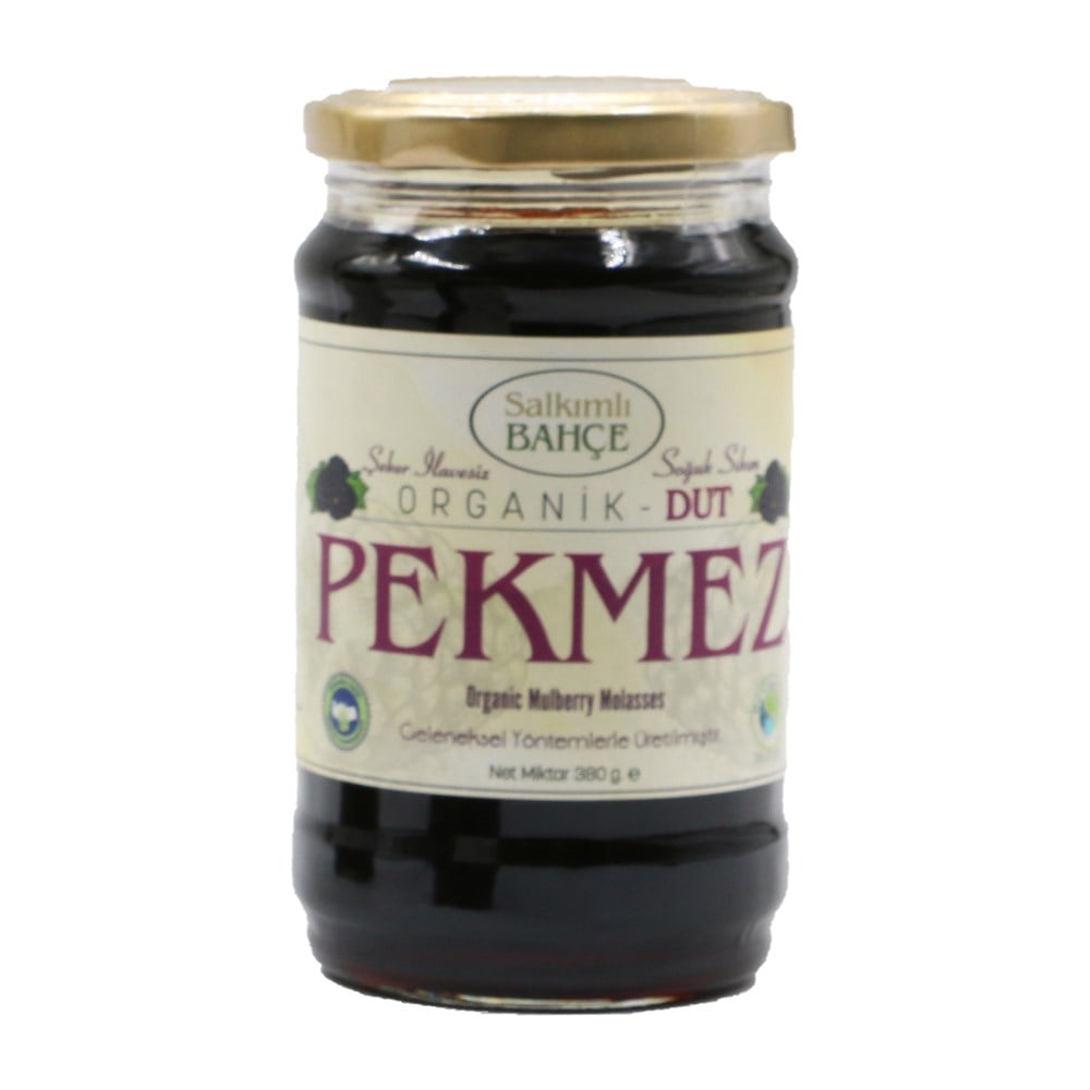 SALKIMLI BAHÇE ORGANİK DUT PEKMEZİ 340 GR