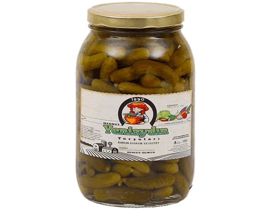 TURŞU ÇENGELKÖY SALATALIK 2000 CC YENİ AYDIN