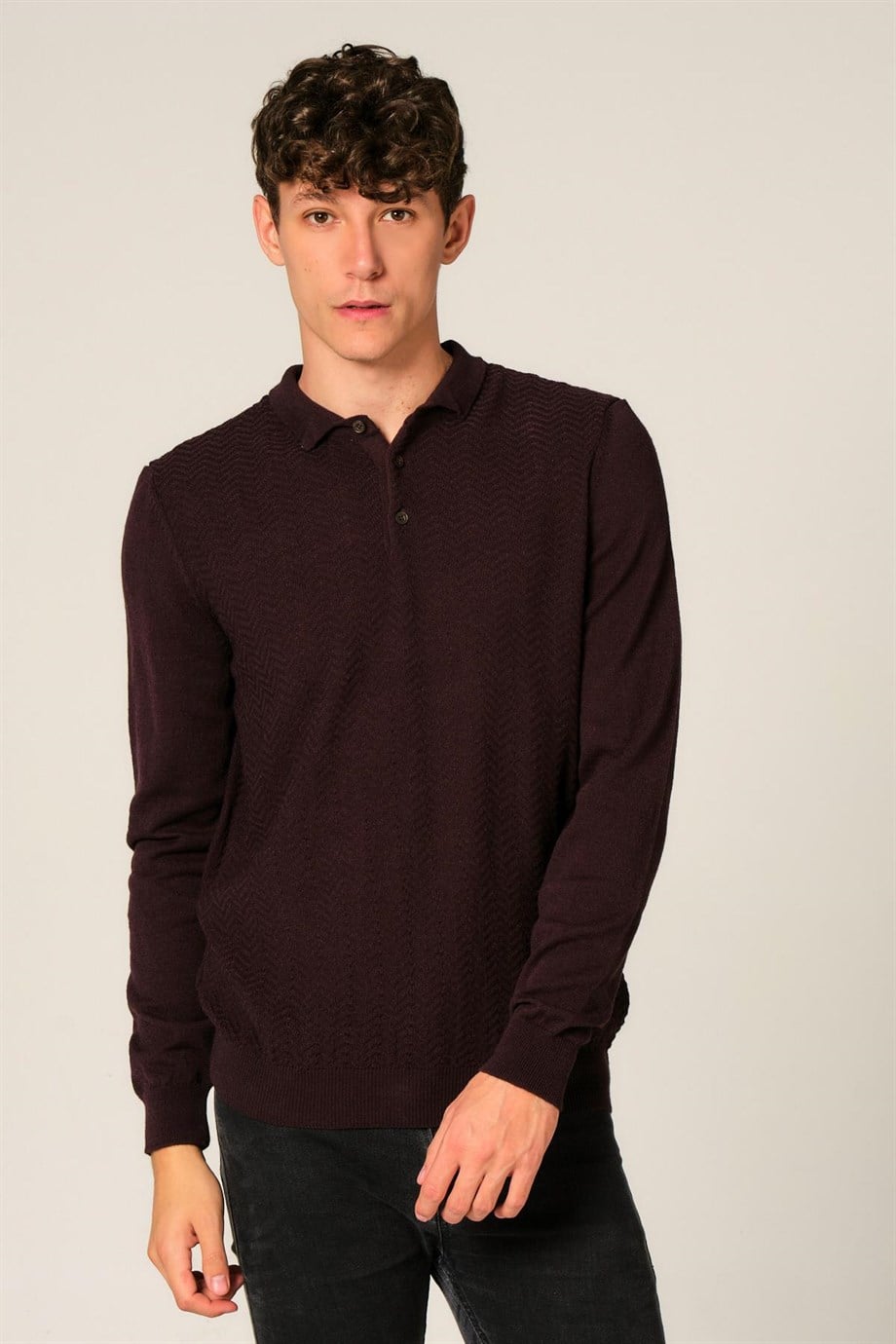 ALEXANDERGARDI POLO YAKA TRİKO KAZAK (AG5033)