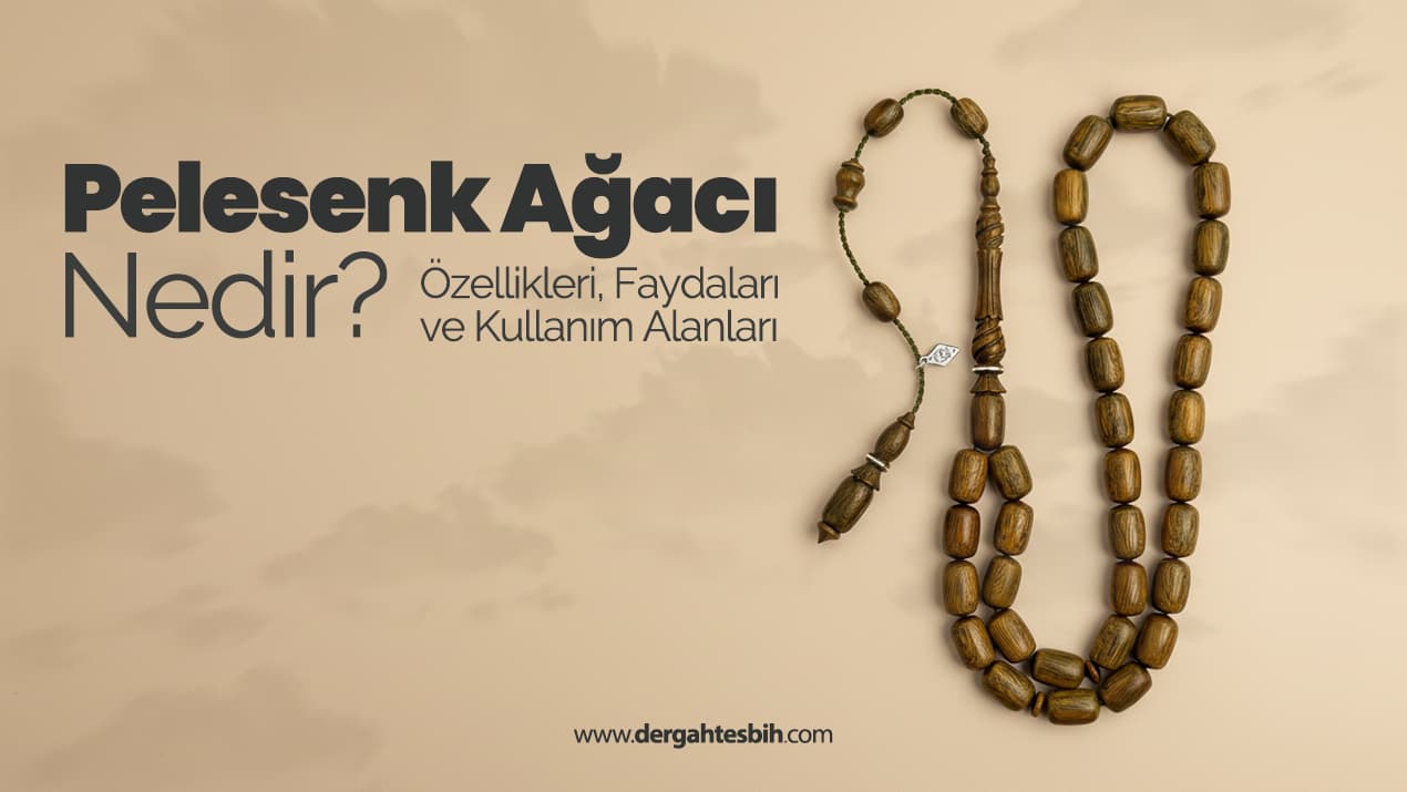 Pelesenk ağacı nedir?