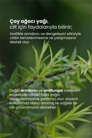 TTO Çay Ağacı Yağı 10 ml