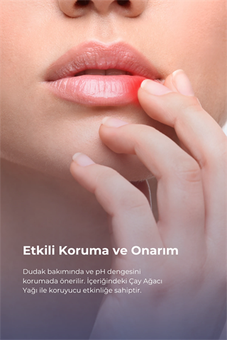 TTO UX Dudak Kremi 10 ml