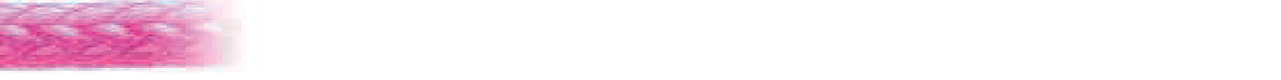 pegesorb rapid bar