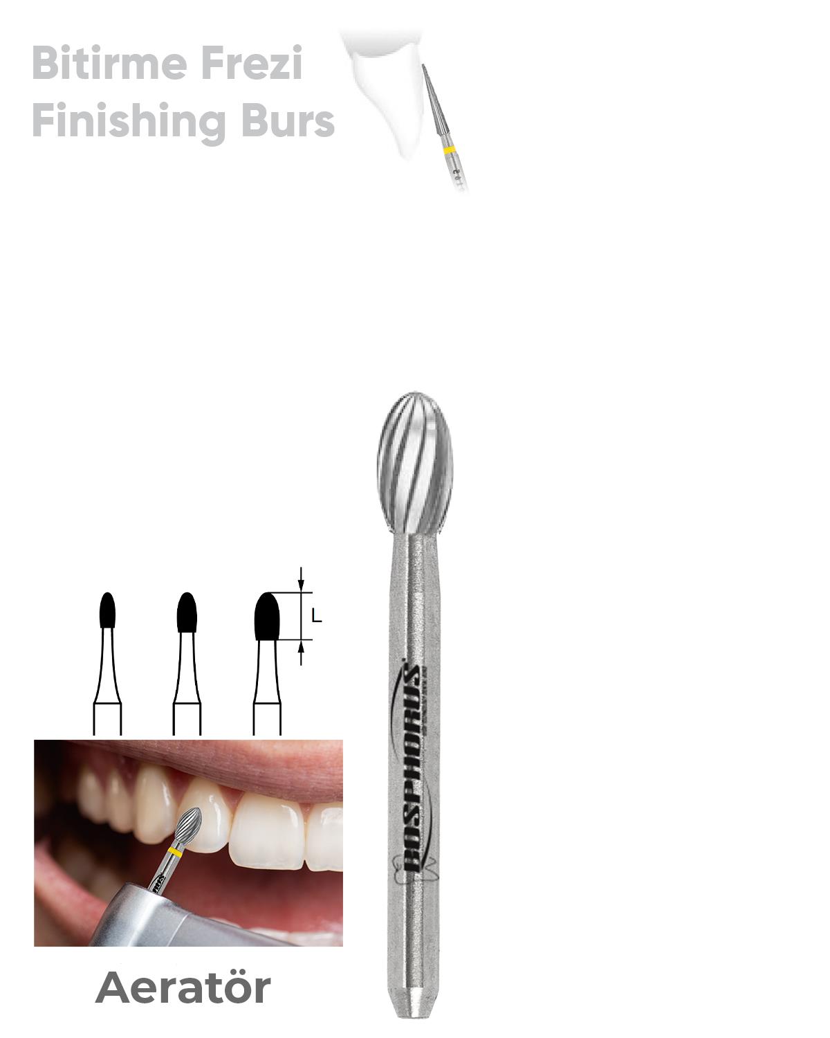 500314277Bos Aeratör Tungsten Karbit Labut, Bitirme Frez