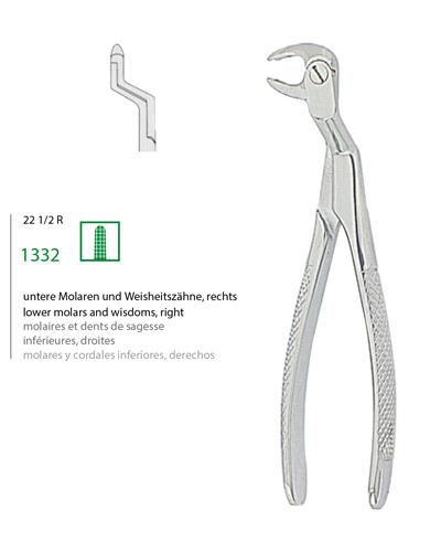 Alt 20 Yaşlar Davyesi Fig. 22 ½R
