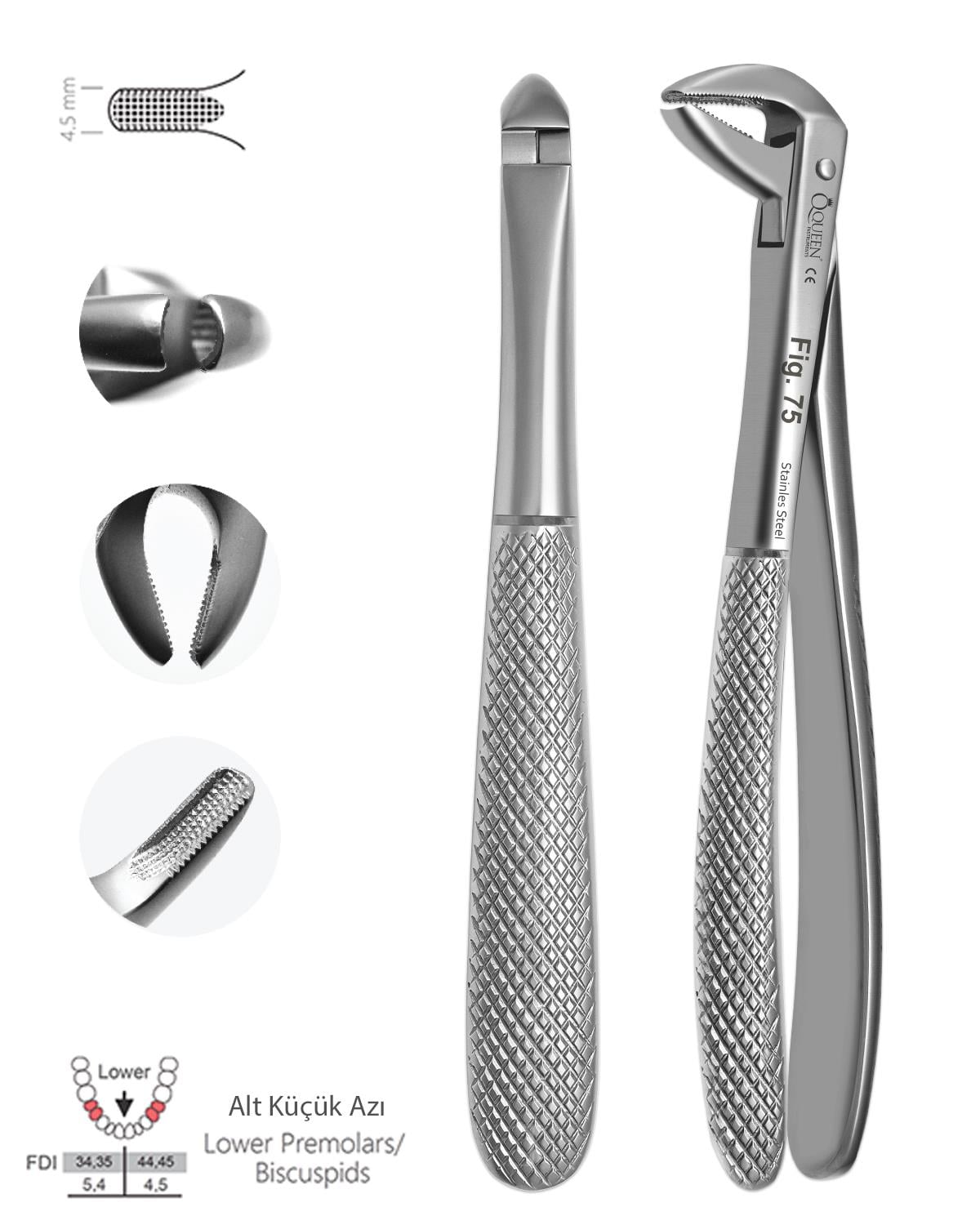 Alt Premolar Davyesi Fig. 75 4,5mm 14,5cm