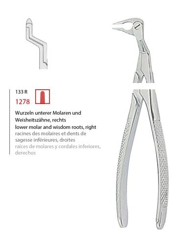 Alt Sağ Molar ve Yirmi Yaş Köki Davyesi Fig. 133 R