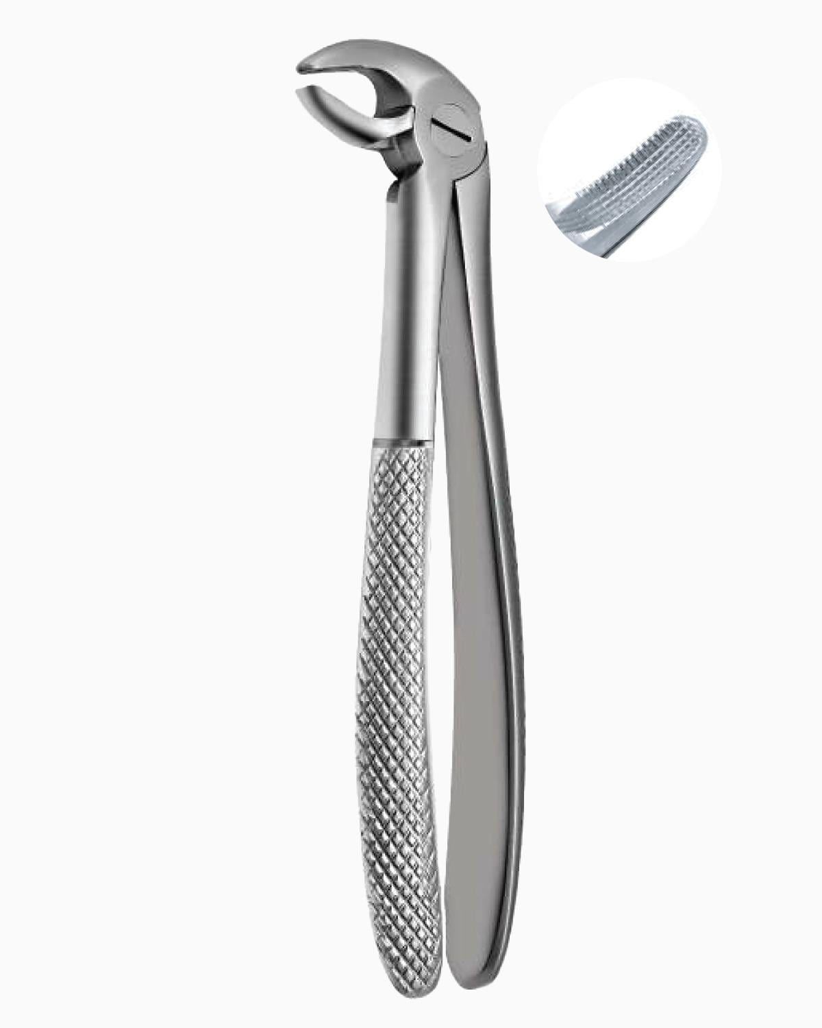 Queen  Alt Premolar Davyesi Fig- 13S 14cm - QEFP027