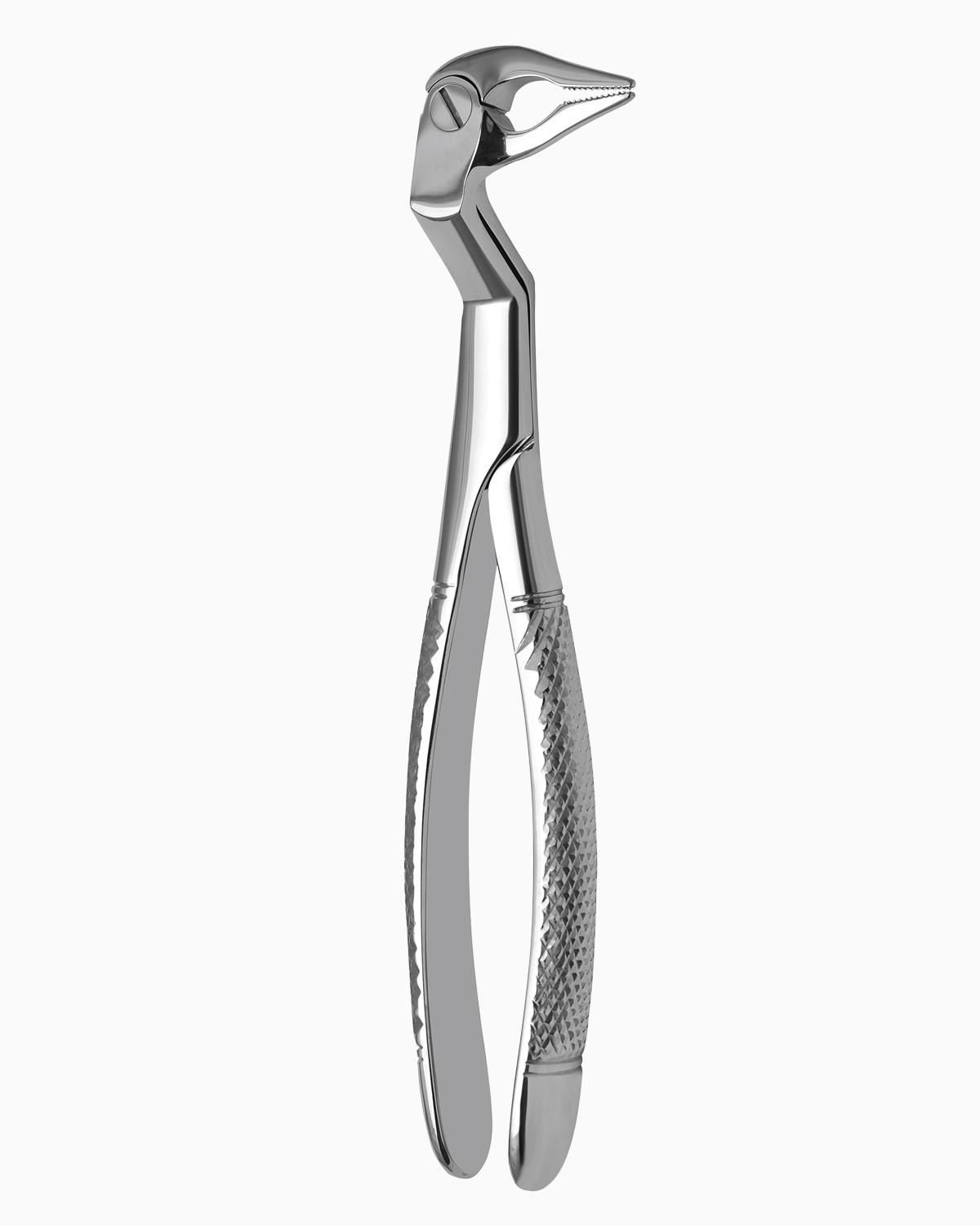 Queen  Alt Sağ Molar ve Yirmi Yaş Köki Davyesi Fig- 133 R - QEF070