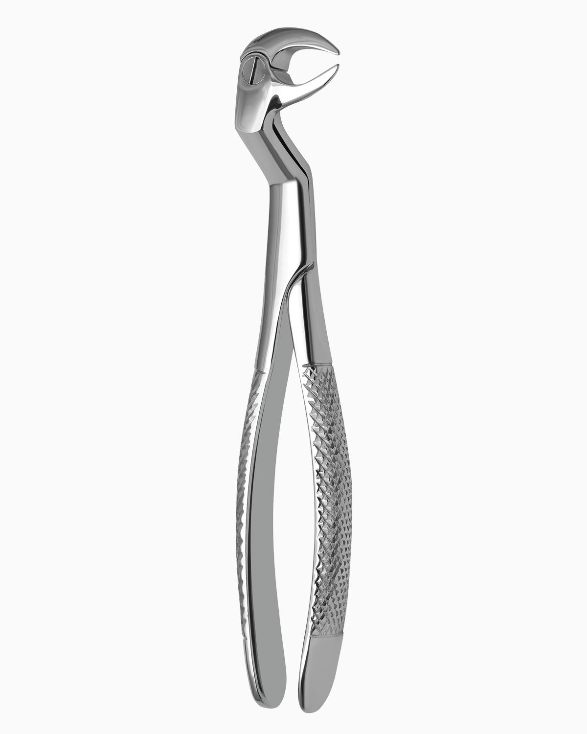Queen  Alt Yirmi Yaşlar Davyesi Fig- 86 1-2 L 22 5cm - QEFCH111
