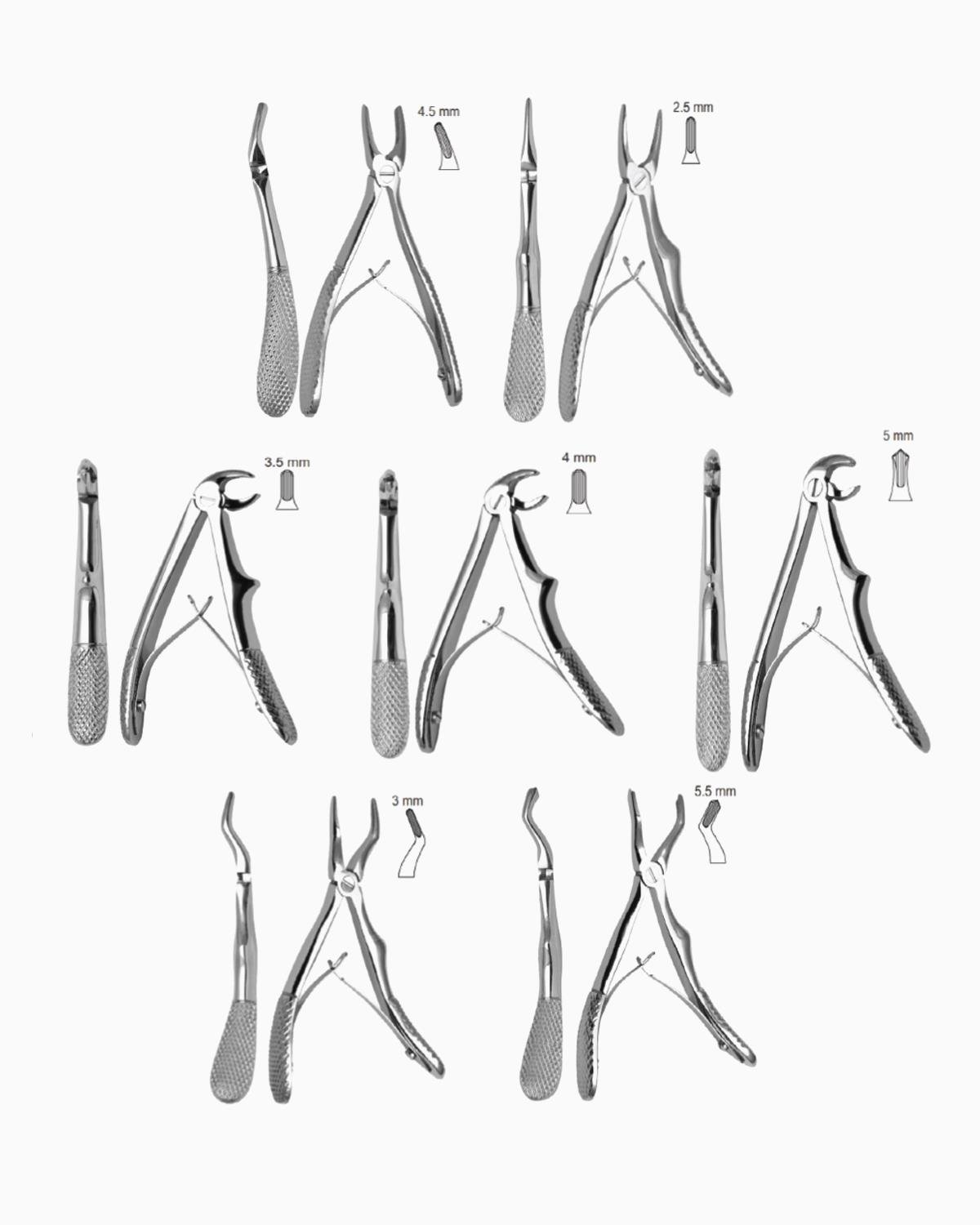 Queen Davye Seti 7 Parça-Pkt- QEFSET002