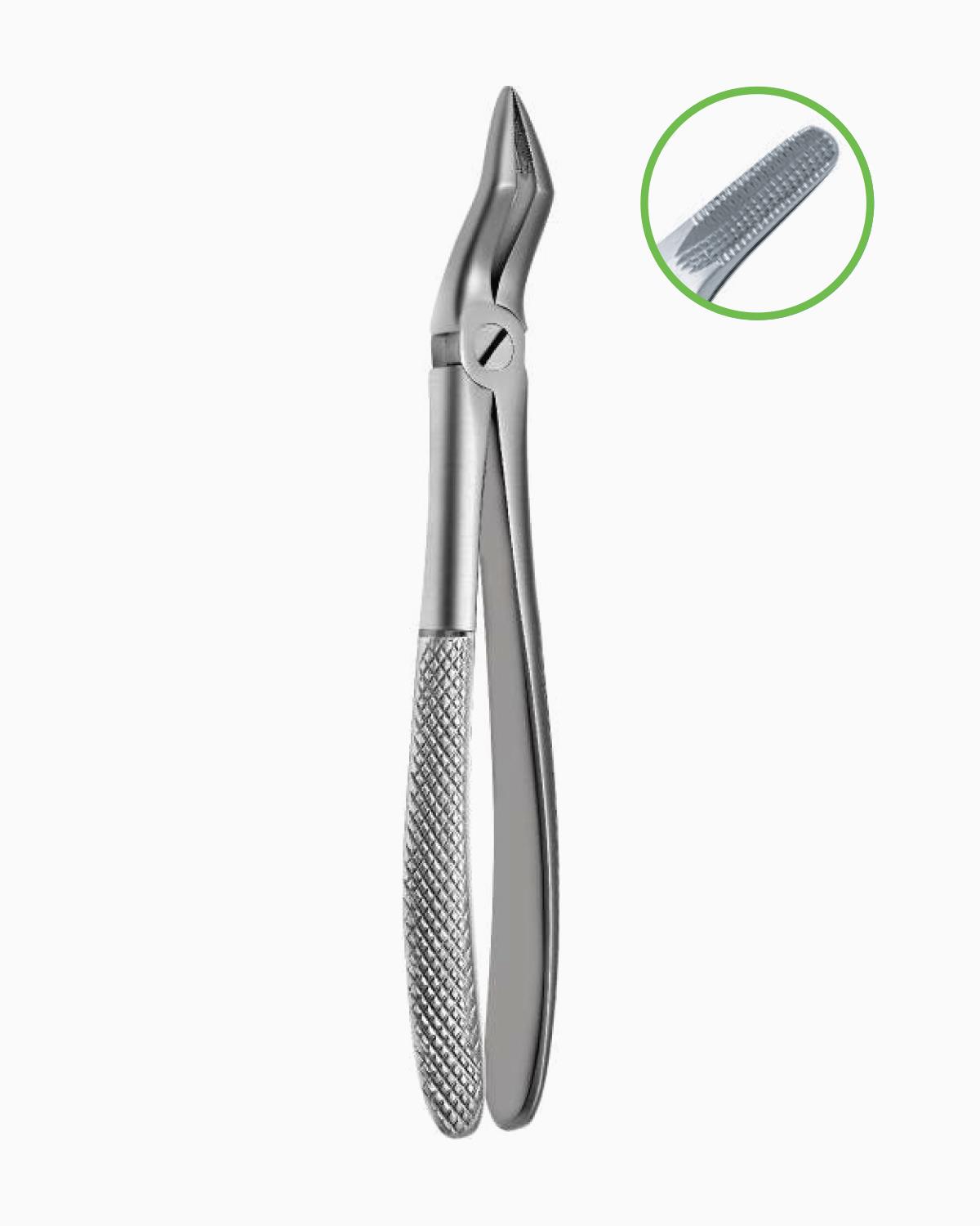 Queen  Davyesi Fig- 51 17cm - QEFUR111