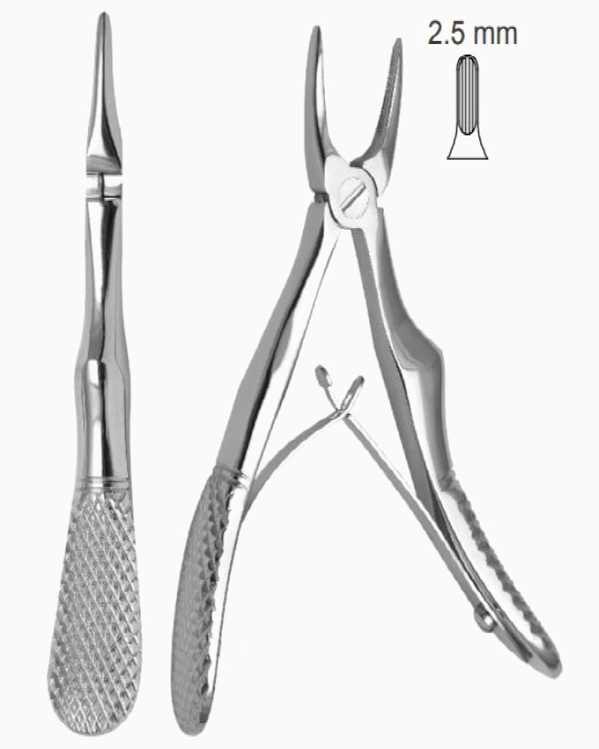 Queen  Üst Keser Davyesi Fig- 29 11 5cm - QEFP002