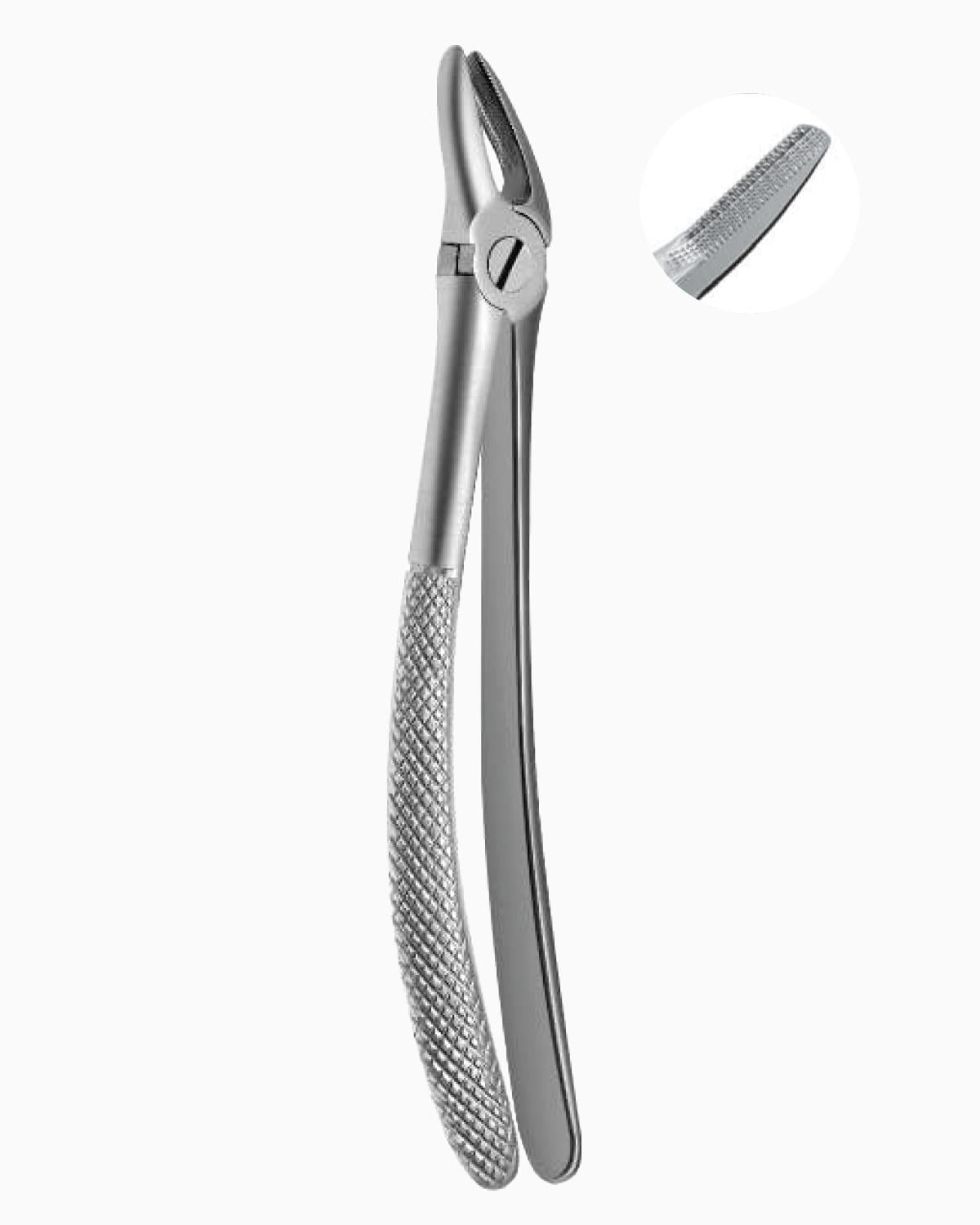 Queen  Üst Premolar Davyesi fig- 158 14cm - QEFP019