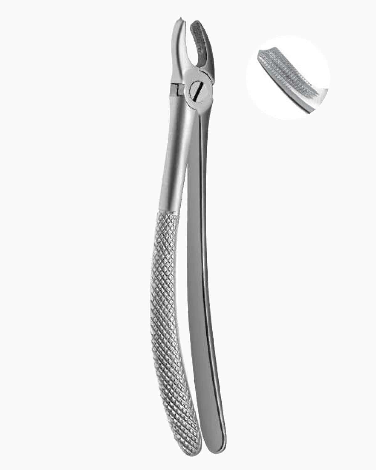 Queen  Üst Sol Molar Davyesi 14cm - QEFP023