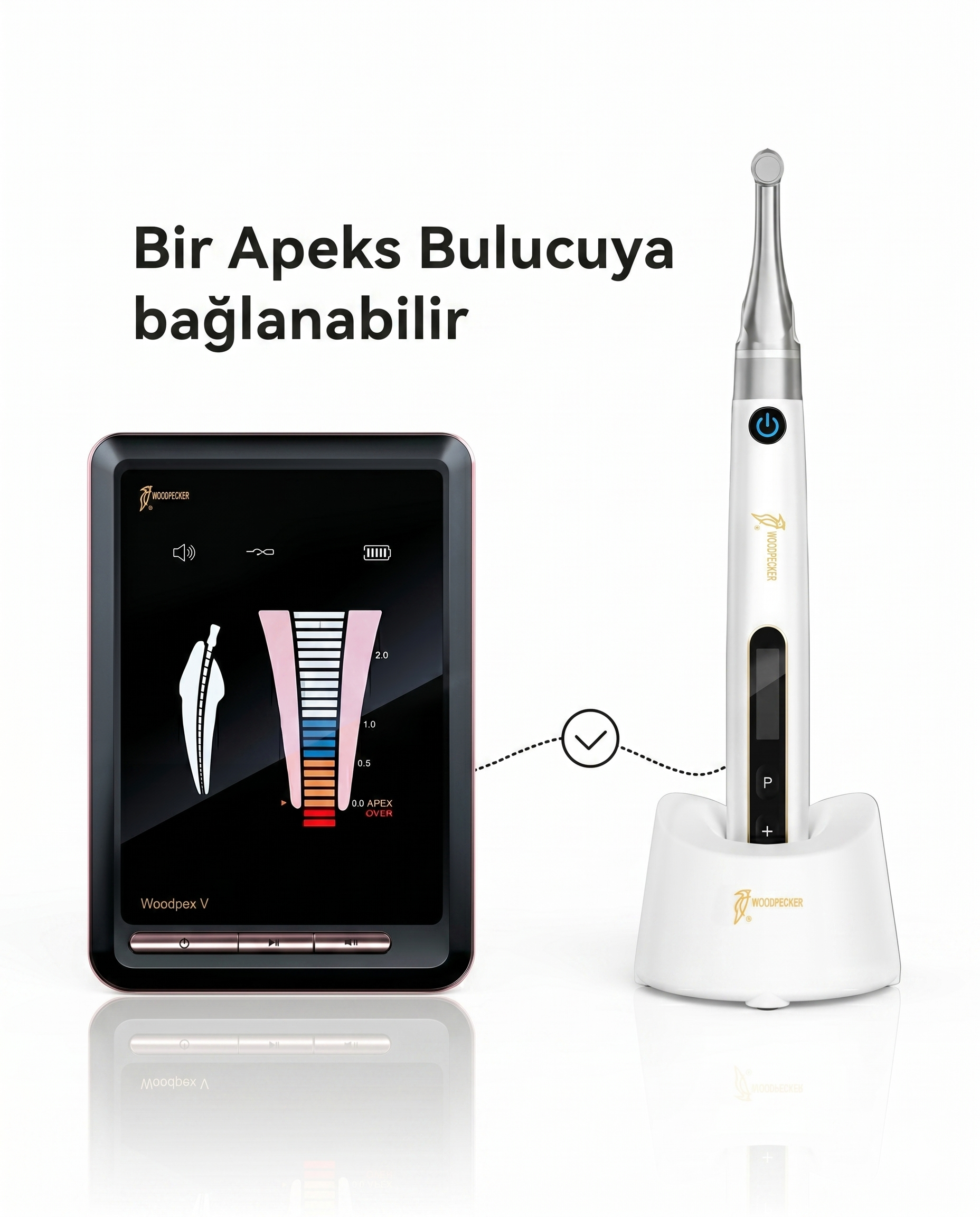 Apex Locator Bağlantı Özelliği