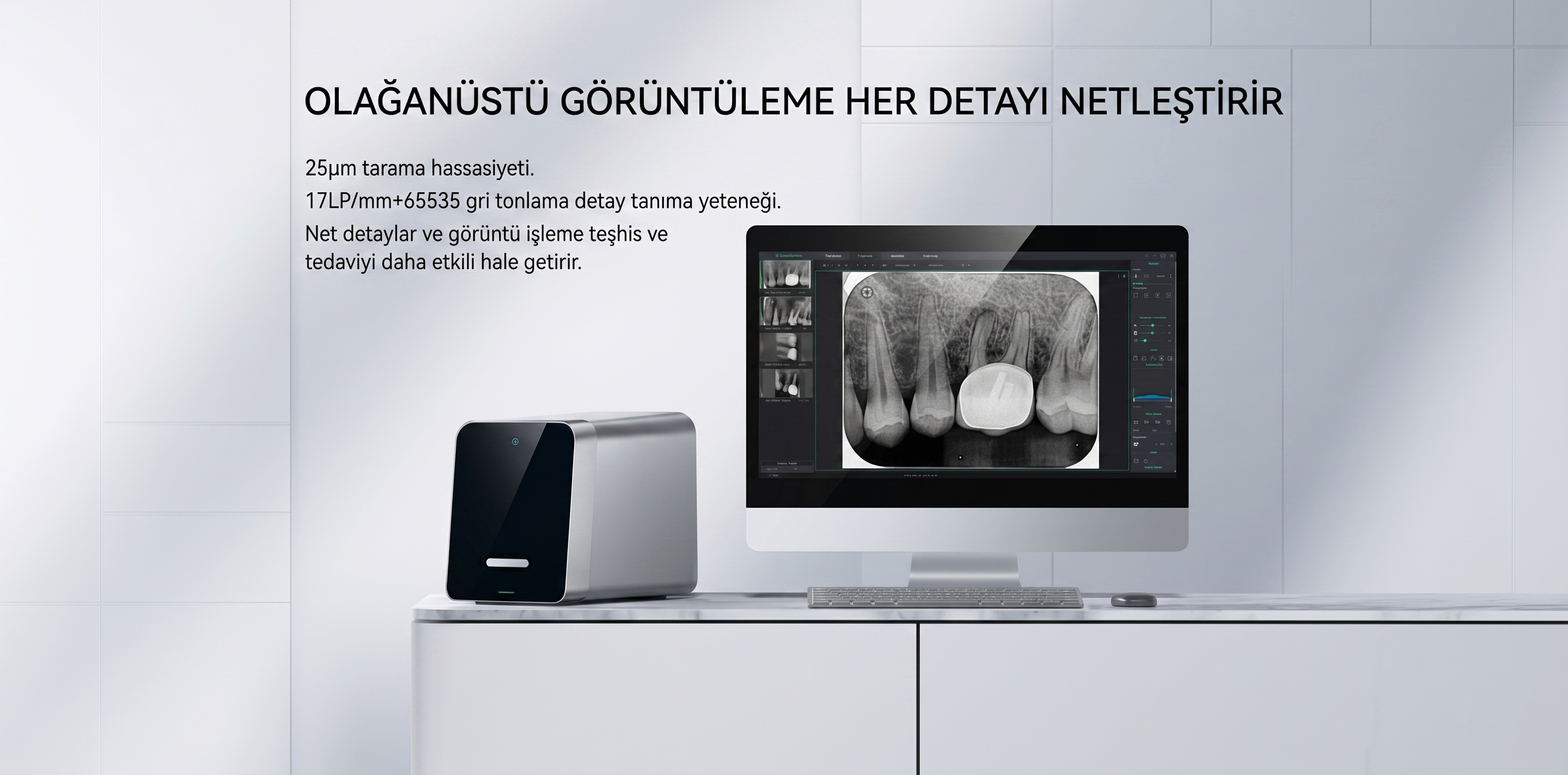Woodpecker Free Scan Premium Design