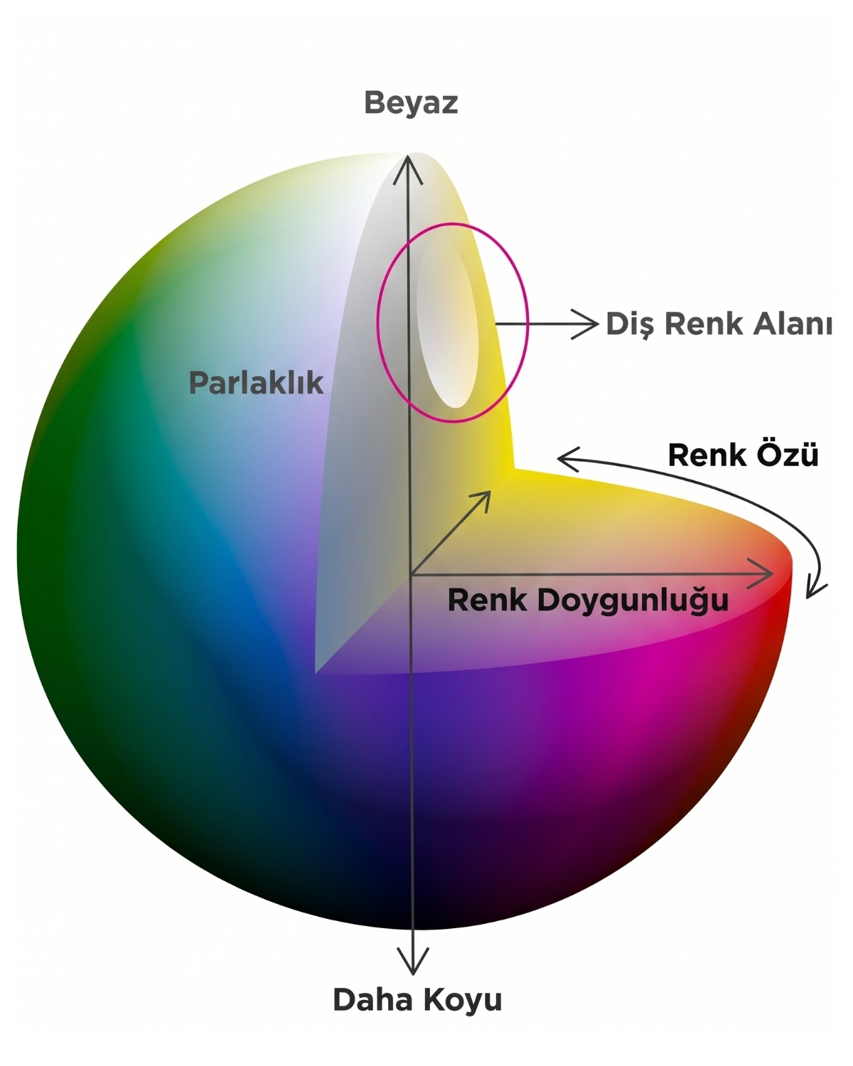 Renk Küresi Bilimi