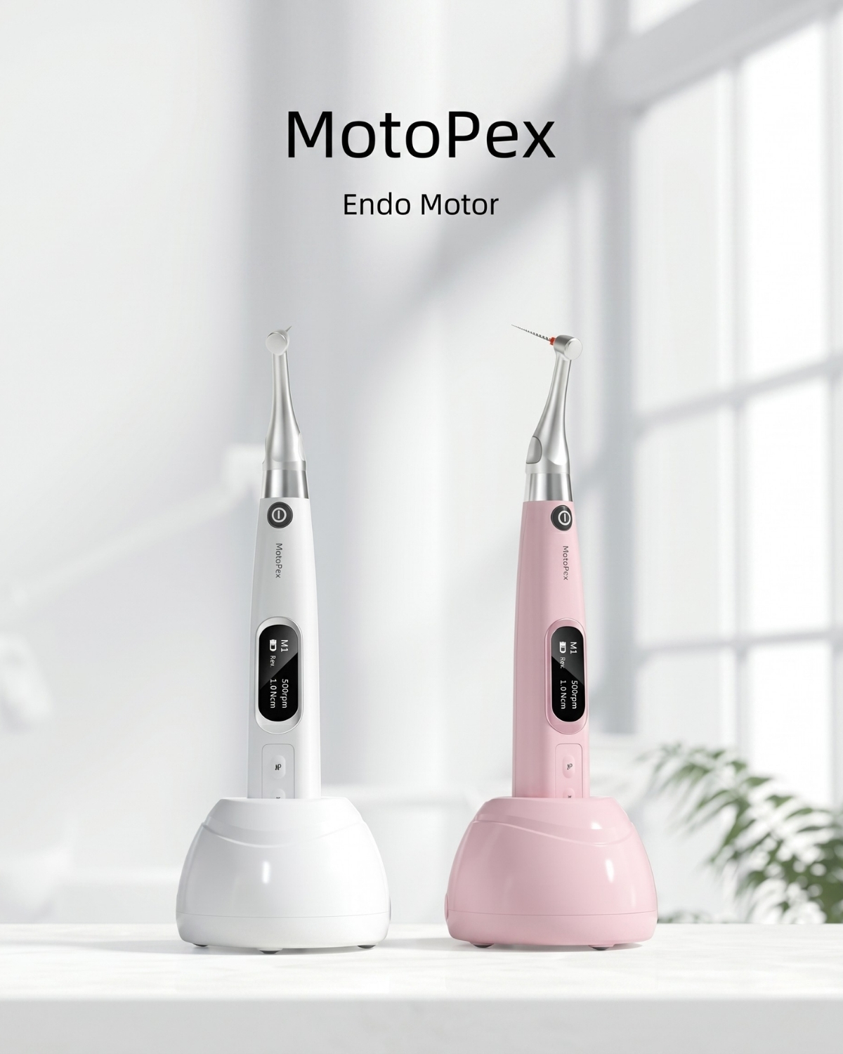 Woodpecker Motopex Stand Görünümü