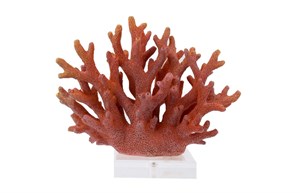 LUCKY ART Akrilik Tabanlık Turuncu Mercan