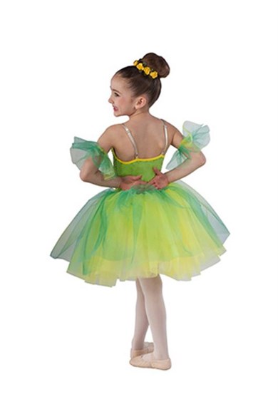 Yeşil Uzun Tütü Bale Dans Kostümü BLU-04