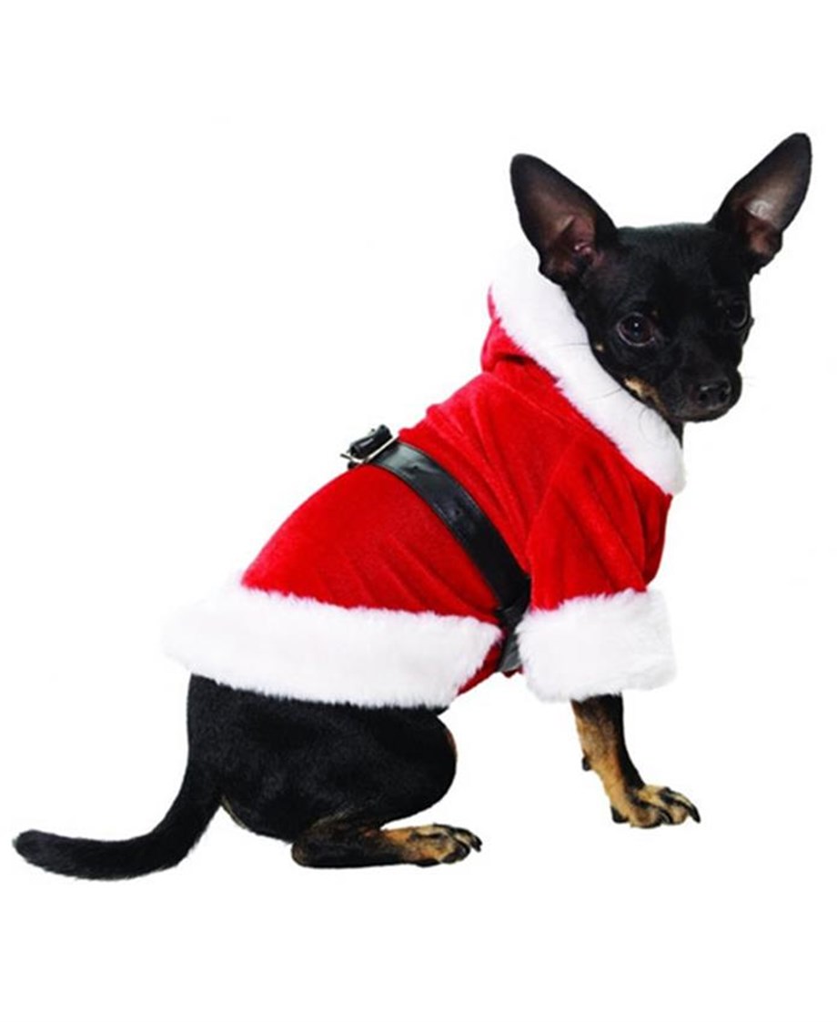 Noel Baba Köpek Kostümü